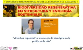 Viticultura regenerativa: un cambio de paradigma en la gestión de la viña