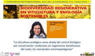 La viticultura ecológica como aliada del control biológico por conservación: evidencias en organismos beneficiosos del suelo, los nemátodos entomopatógenos