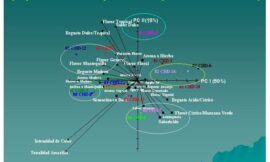 Las ciencias sensoriales, un puente de unión entre el enólogo y el consumidor