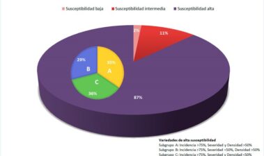 Susceptibilidad a mildiu de diferentes variedades de vid (Vitis vinifera L.) minoritarias españolas