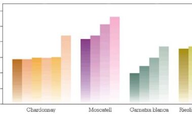 Evaluación de la cantidad de glucósidos en el mosto