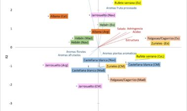 Análisis sensorial de vinos elaborados con variedades minoritarias recuperadas en España