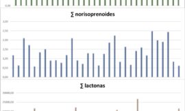 Aportaciones a la caracterización de variedades minoritarias de España a través de su perfil aromático varietal