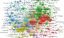 Estrategias genéticas contra patógenos de la vid