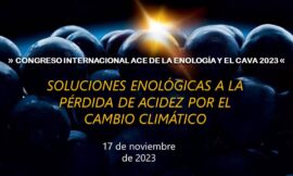 El Congreso Internacional ACE de la Enología y el Cava 2023 se centrará en las soluciones enológicas a la pérdida de acidez por el cambio climático