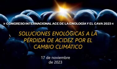 El Congreso Internacional ACE de la Enología y el Cava 2023 se centrará en las soluciones enológicas a la pérdida de acidez por el cambio climático