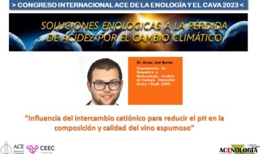 Influencia del intercambio catiónico para reducir el pH en la composición y calidad del vino espumoso