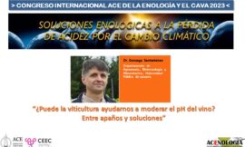 ¿Puede la viticultura ayudarnos a moderar el pH del vino? Entre apaños y soluciones