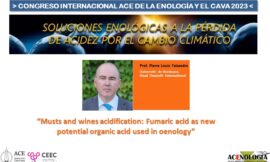 Musts and wines acidification: Fumaric acid as new potential organic acid used in oenology