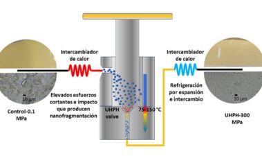 Aplicaciones de la Homogeneización a Presión Ultra Alta (UHPH) en enología