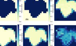 Diagnóstico rápido de enfermedades de la vid con inteligencia artificial