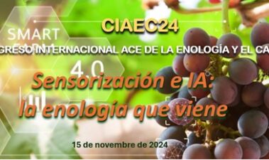 CIAEC24. La intensidad del conocimiento enológico