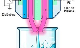 Aplicación de plasma atmosférico frío en la elaboración de vinos
