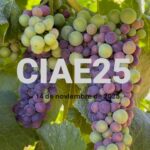 Congreso Internacional ACE de la Enología 2025 (CIAE25)