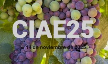 Congreso Internacional ACE de la Enología 2025 (CIAE25)