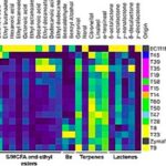 Relación entre genotipo y los aromas en <i>Torulospora</i> respecto de <i>Saccharomyces</i>